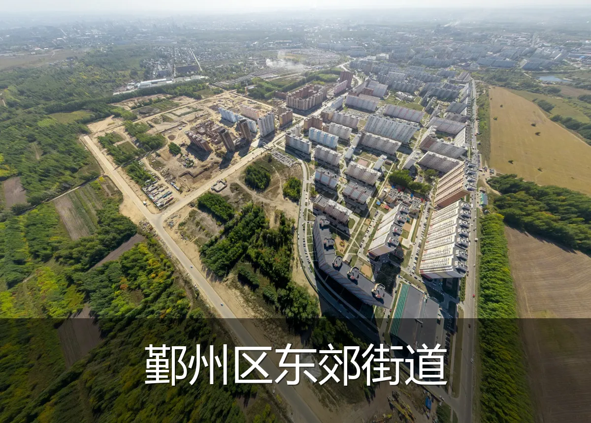 鄞州区东郊街道