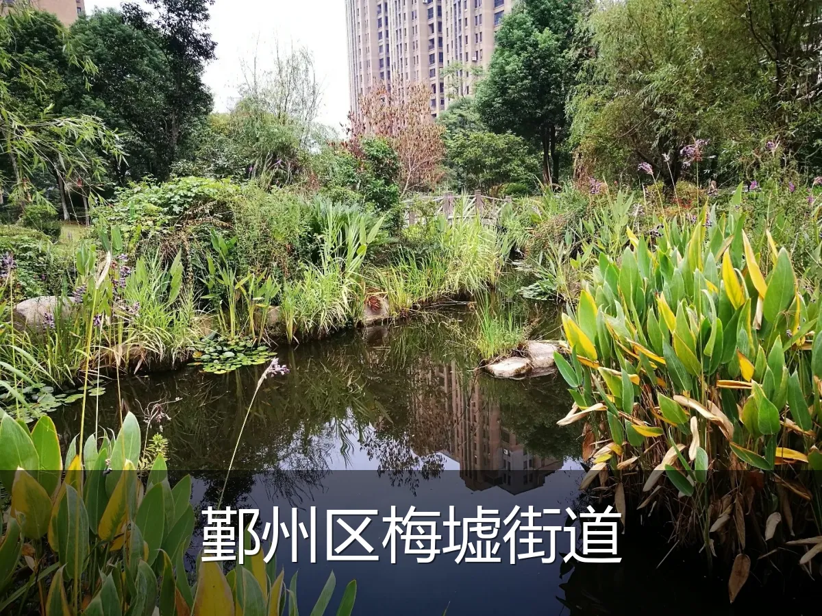 鄞州区梅墟街道