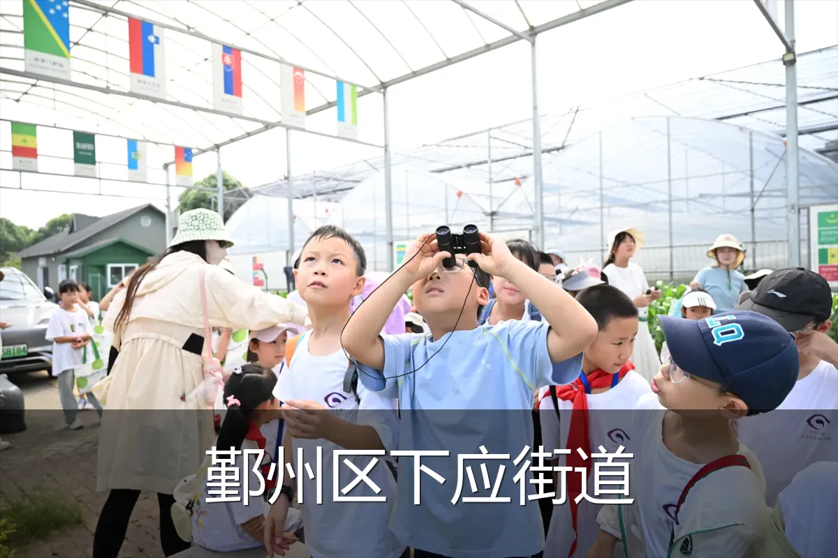 鄞州区下应街道