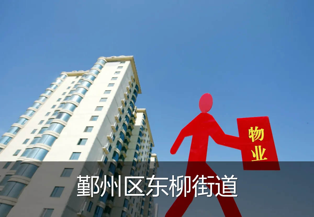 鄞州区东柳街道