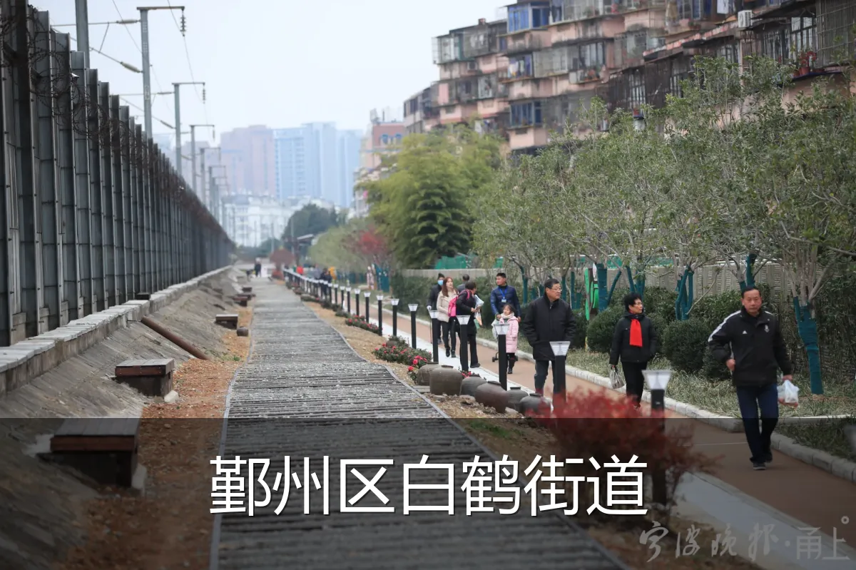 鄞州区白鹤街道